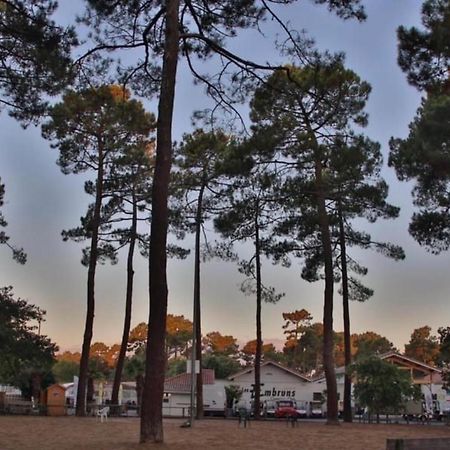 Hotel A La Brise Du Ferret Lège-Cap-Ferret Zewnętrze zdjęcie