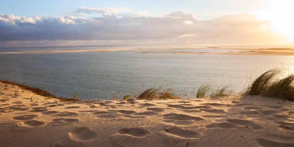 Hotel A La Brise Du Ferret Lège-Cap-Ferret Zewnętrze zdjęcie