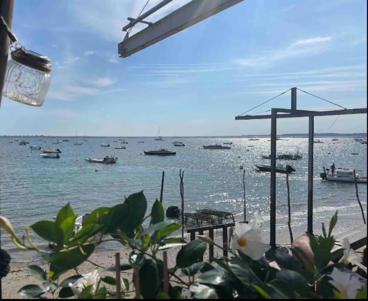 Hotel A La Brise Du Ferret Lège-Cap-Ferret Zewnętrze zdjęcie