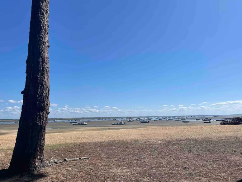 Hotel A La Brise Du Ferret Lège-Cap-Ferret Zewnętrze zdjęcie