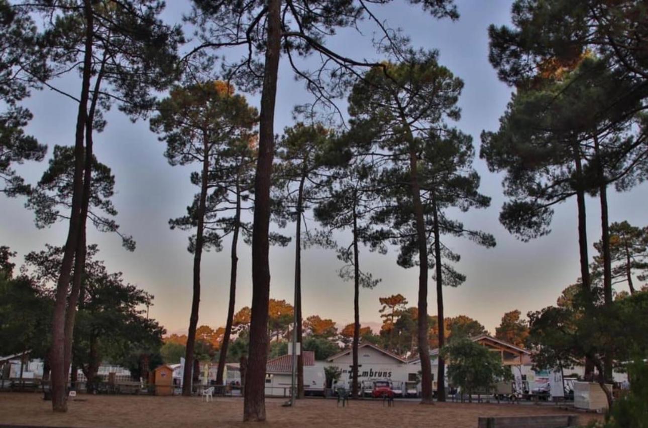 Hotel A La Brise Du Ferret Lège-Cap-Ferret Zewnętrze zdjęcie